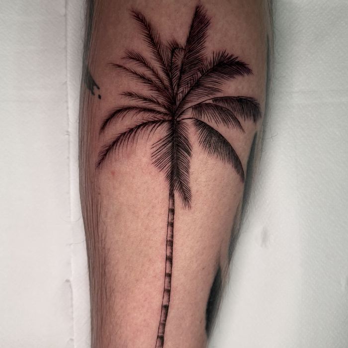 Tatuaje de palmera individual, línea fina en pantorrilla
